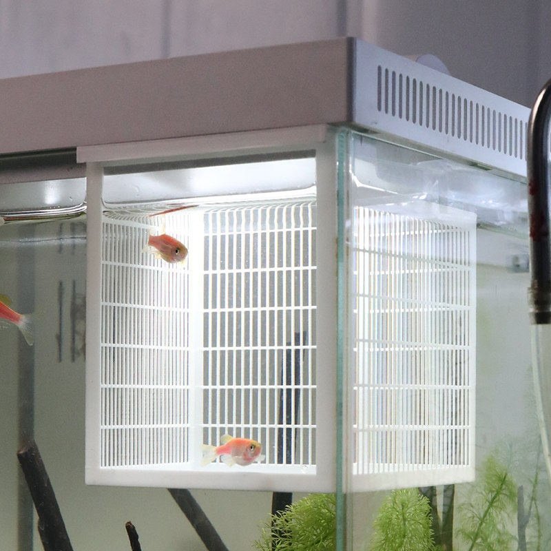 鱼苗隔离盒适配小米二代鱼缸孔雀鱼孵化幼鱼斗鱼盒产卵隔离盒小号,宠物/宠物食品及用品,其它水族用具设备,淘宝优惠券,粉丝福利购,淘宝优惠卷