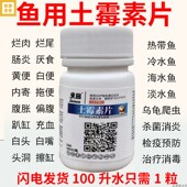 水族鱼药土霉素片鱼用疾病治疗预防烂肉烂尾水霉杀菌消炎鱼缸池塘
