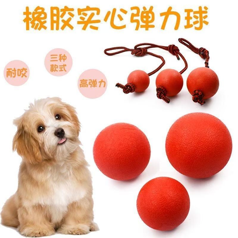 狗狗玩具磨牙解闷玩具图片