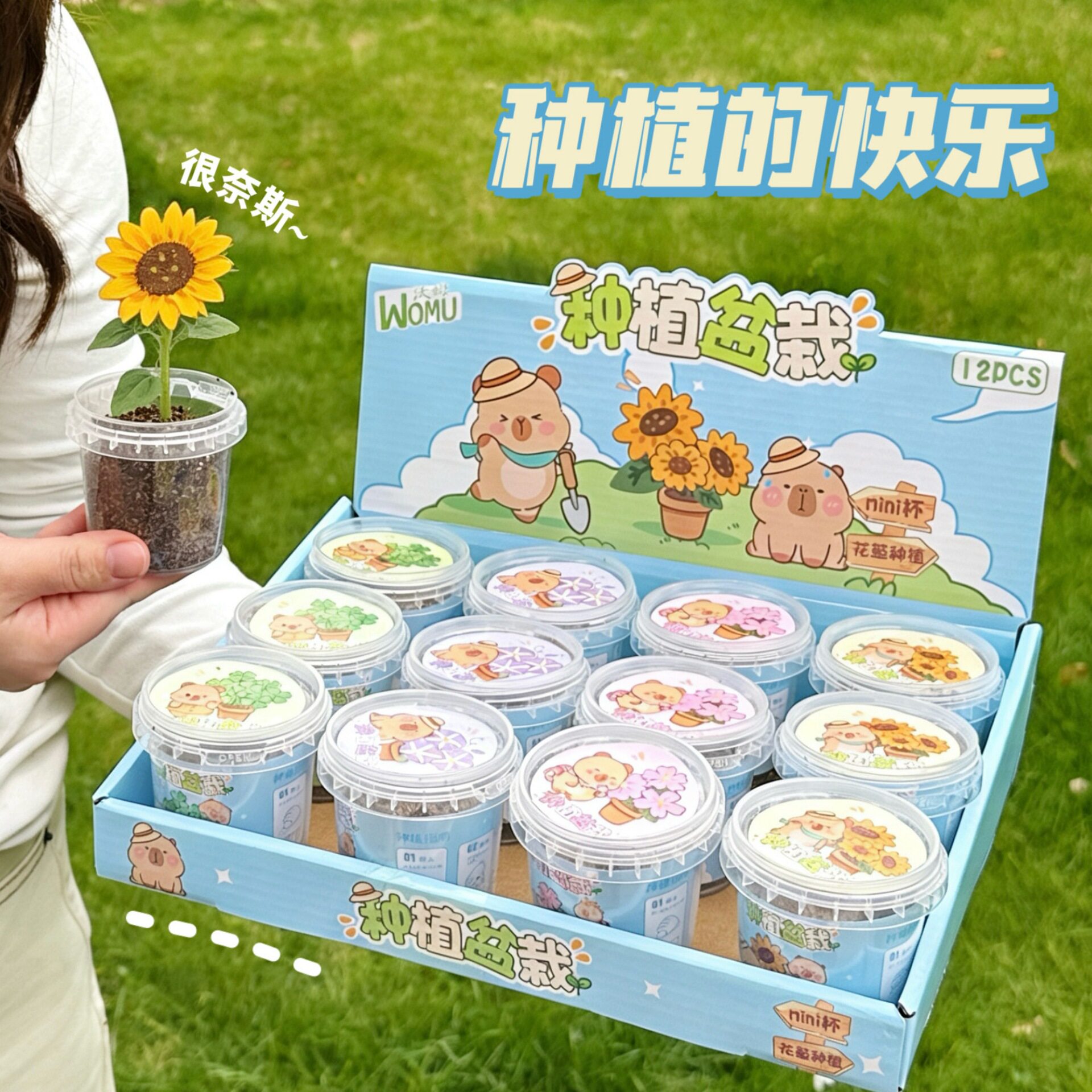 客厅卧室书房校园流行创意水果