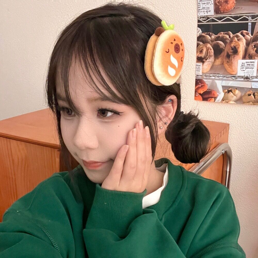 质量严选创意可爱豚豚美食发夹小