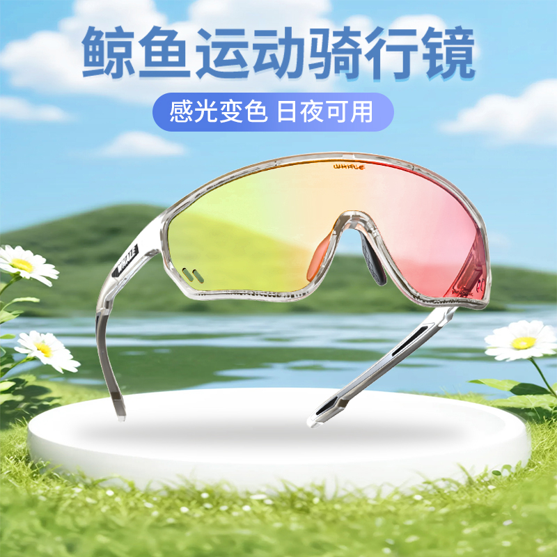 鲸鱼R3变色骑行眼镜通用护目镜防尘近视户外防风防紫外线运动镜