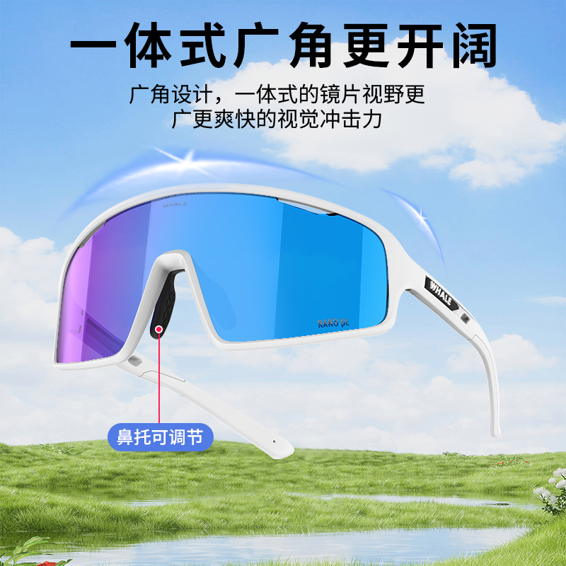鲸鱼R9S防雾变色骑行眼镜防风沙运动山地公路自行车近视风镜男