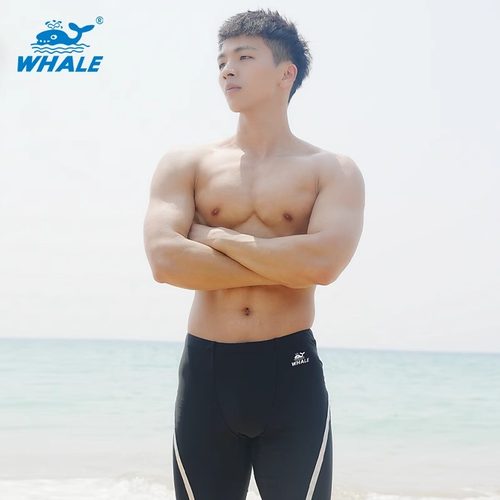 男士泳裤五分专业训练游泳裤