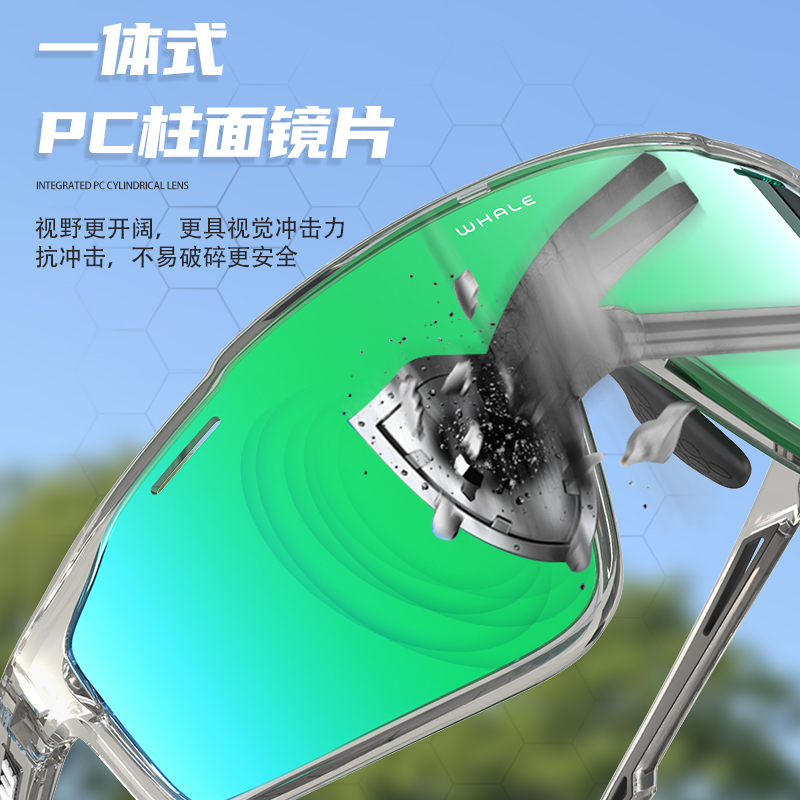 鲸鱼R13S防雾骑行眼镜防风沙运动山地公路自行车近视风镜男