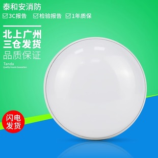 泰和安集中电源控制型消防应急照明灯具吸顶嵌墙式疏散照明指示灯