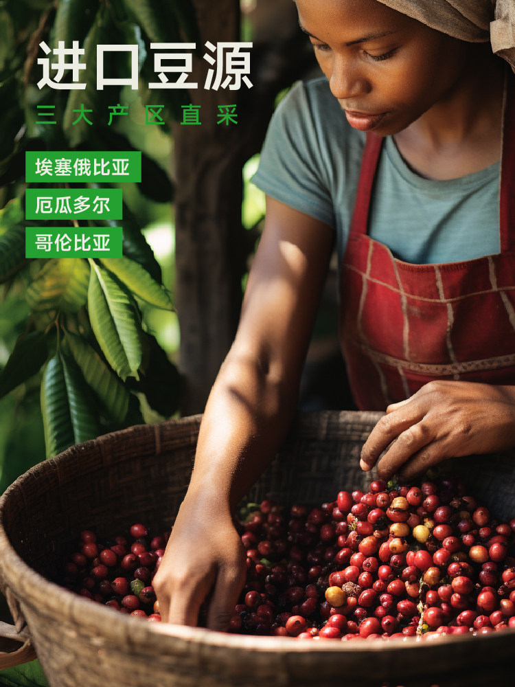 Sanshan Sasaki Pure Arabica Cold Brew Americano Concentrate Trial - Taobao product photo 5