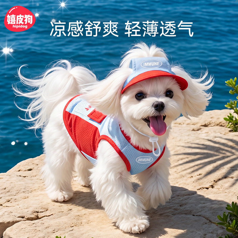 狗狗衣服春夏撞色拼接背