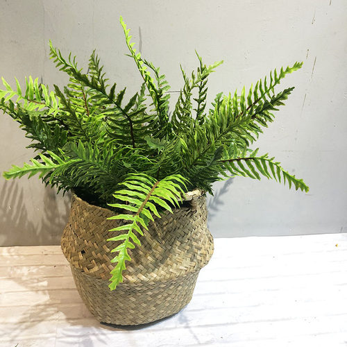 仿真绿植蕨类金丝猴盆栽