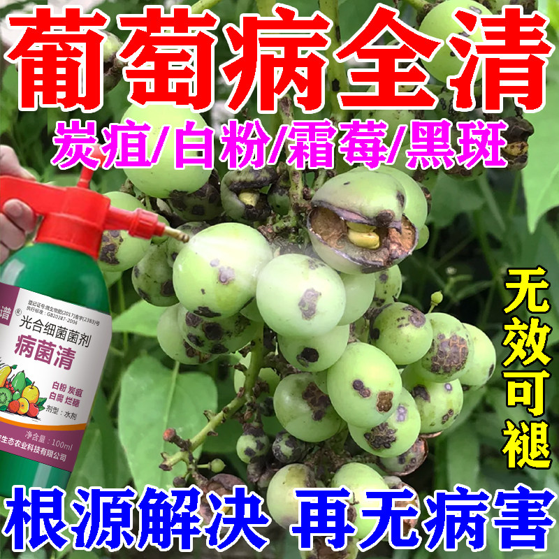 葡萄树专用肥料阳光玫瑰果树防炭疽白粉软腐灰霉病杀菌剂保花保果,鲜花速递/花卉仿真/绿植园艺,家庭园艺肥料,淘宝优惠券,粉丝福利购,淘宝优惠卷