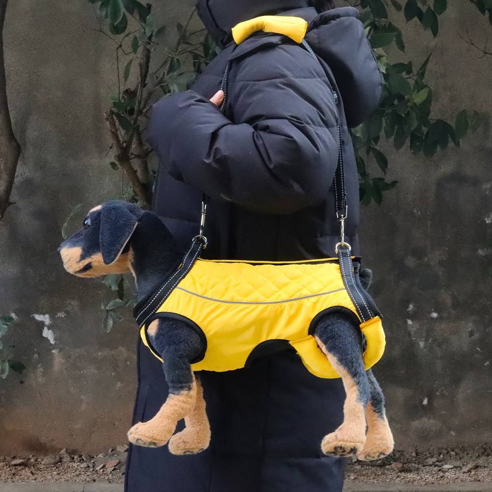 多功能狗狗辅助衣高龄老年犬残疾犬康复锻炼带上楼宠物辅助背带