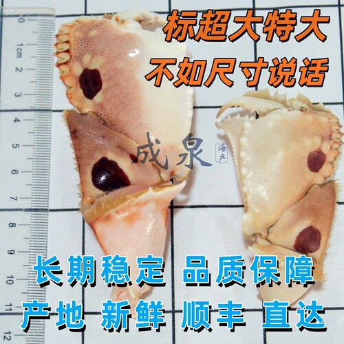 【全规格】元宝蟹钳面包蟹钳商用
