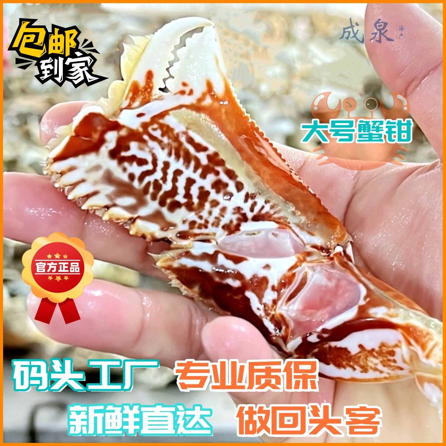 新鲜元宝蟹钳面包蟹钳蟹脚冷冻水产蟹腿餐饮商用批发冰衣保鲜顺丰