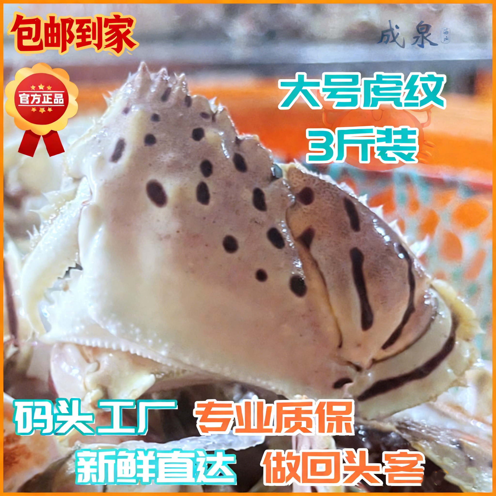 超大虎纹蟹钳面包蟹钳蟹脚新鲜冷冻水产蟹腿餐饮商用批发冰衣保鲜
