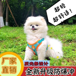 小型狗狗反光牵引绳绳子背带遛狗熊博美猫咪背心小狗宠物幼犬链子