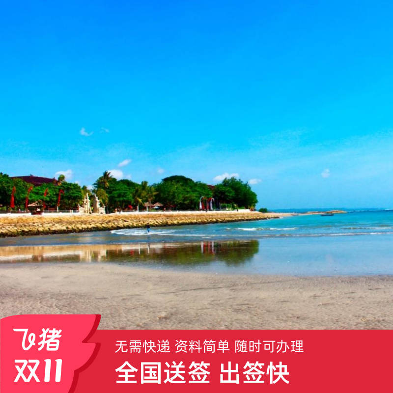 印尼各种签证均可办理 印尼落地电子签 印尼60天停留 印尼一年多次 均可办理 简单资料 出签迅速 直连官网