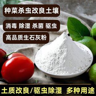 种菜生石灰粉杀菌消毒剂杀虫驱虫剂干燥剂改善水质改良土壤树木白