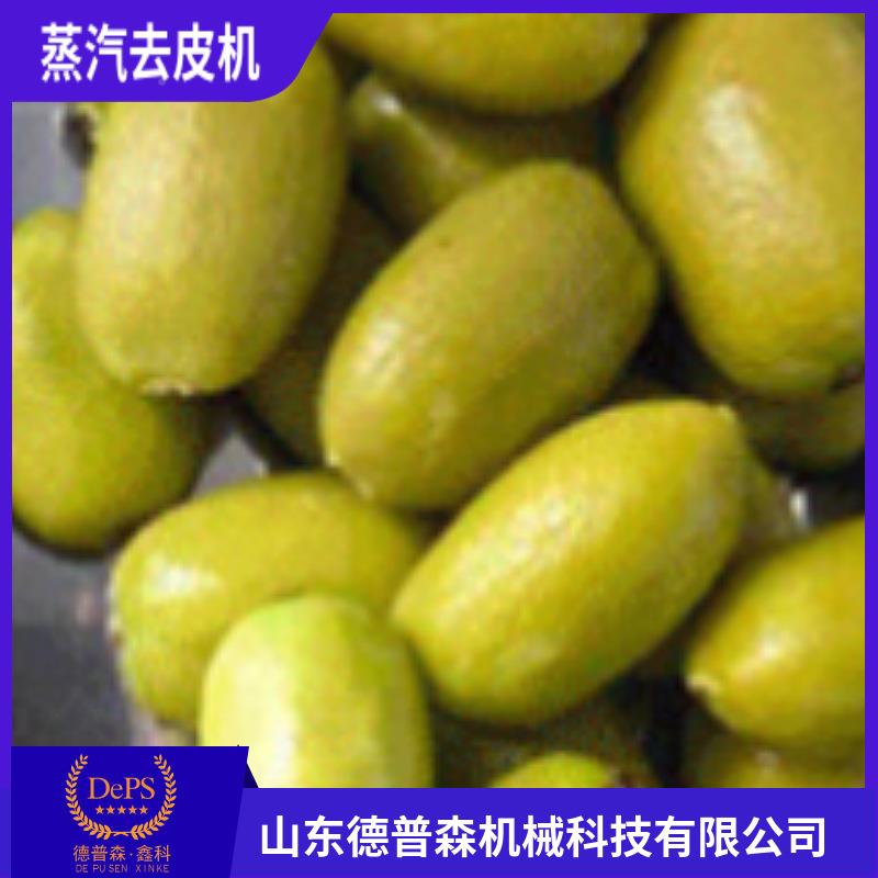 大型物理柿蒸汽去加皮机 NMK全自西动预红制品食品脱皮工流水线设
