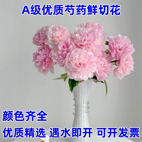 山东菏泽芍药鲜切花基地直销节日礼品装浓香插花牡丹玫瑰大花婚庆