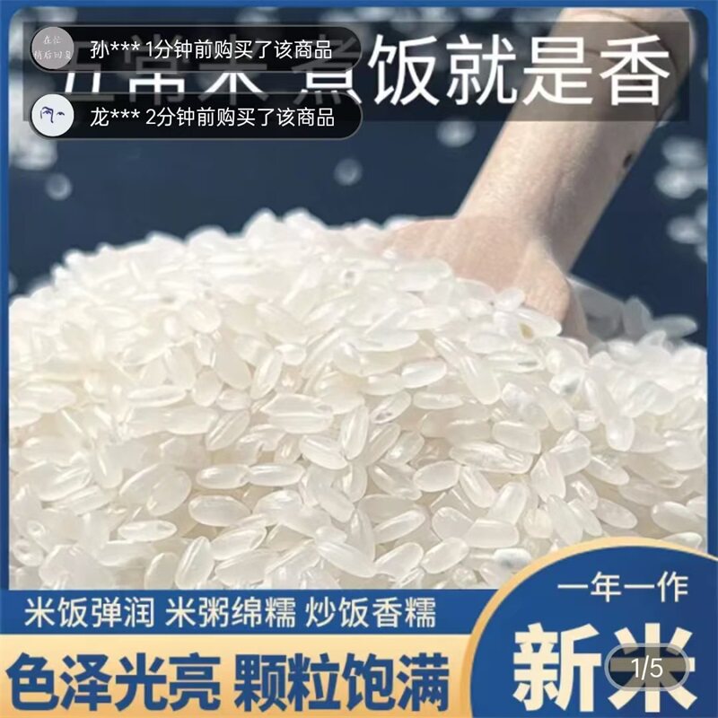 乾施食品正宗五常大米东北稻花香2号新米真空包装软糯香甜优质米
