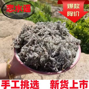 白蒿新鲜棉茵陈三月茵陈草药浴 野生棉茵陈500g克中药材新货正品