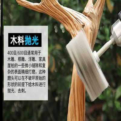 塑料打磨神器打磨花头进口磨料丝尼龙丝木材崖柏红木根浮雕抛光轮