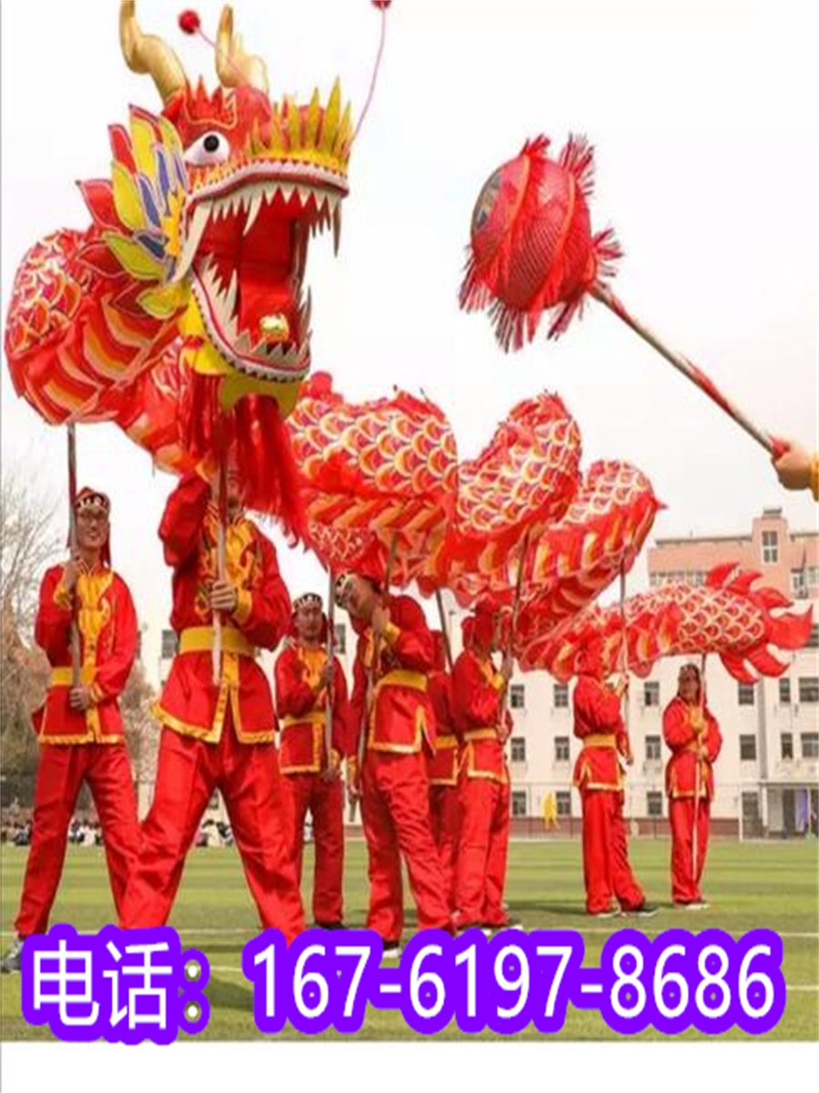 传统龙灯会多人舞龙节日庙会民间运动龙手工龙成人健身龙道具上海