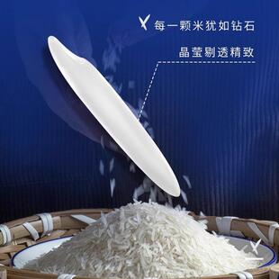 新米猫牙香米真空长粒大米农家丝苗米煲仔饭晚稻煮饭煮粥