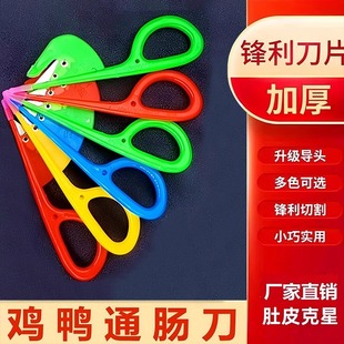鸡鸭通肠刀家禽开理翻肠鸡肠刀子穿破鸭肠杀鸡鸭鹅专用刀工具神器