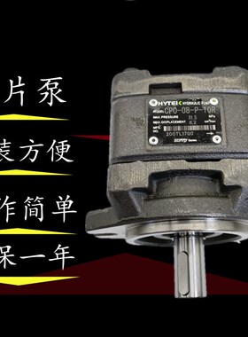 海特克齿轮泵CP0-08 10 13 16 20-P-10R折弯机油泵CP1-25 32 4063