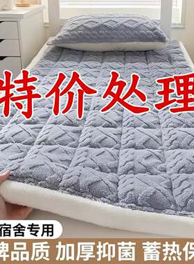 塔芙绒特厚床垫褥子软垫家用床毯
