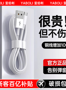 适用苹果充电线器iphone手机17快充usb接口16数据线tpyec12车载13lightning14充电宝type-c专用mp3加长2米15