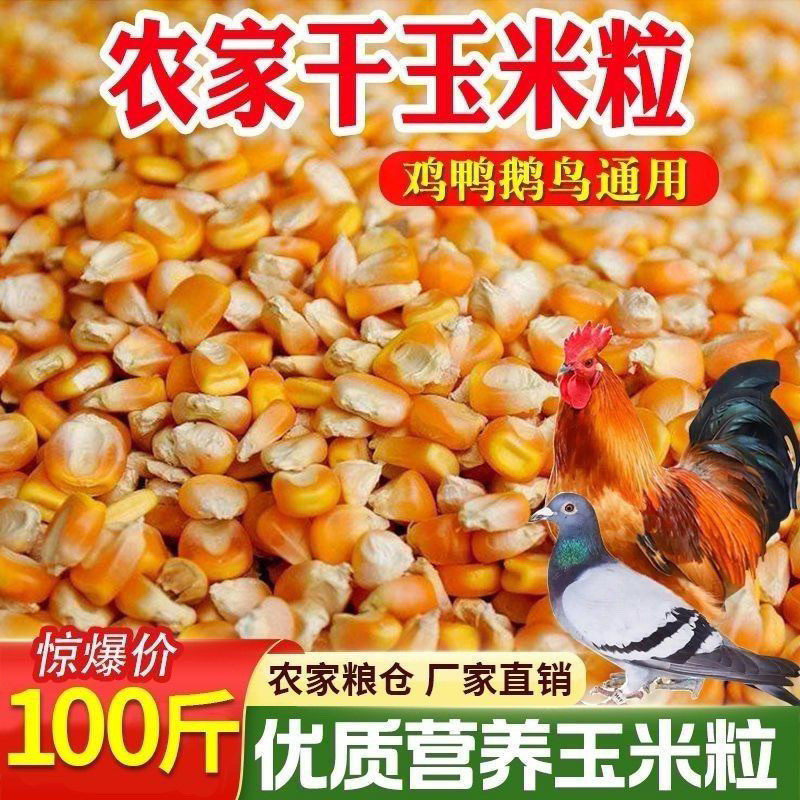 2026年河南新粮养殖专用原料酿酒