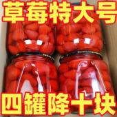 黄桃果多种口味水果罐头510g 4罐草莓山楂雪梨桔子黄桃罐头鲜果