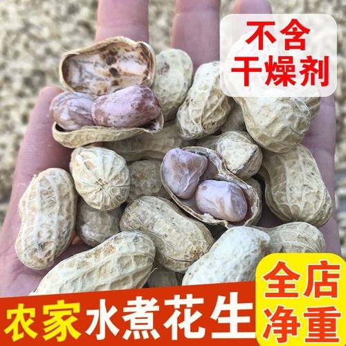 【大降价】正宗龙岩花生咸干水煮花生当季新花生水煮白晒花生带壳