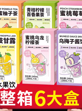 蜂蜜柚子茶6种水果茶冲泡饮品茶包多种口味冷泡茶泡水喝的饮料
