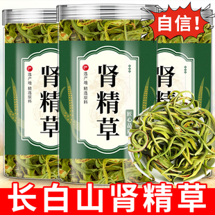 长白山野生肾精草化石草补黄金草嗷嗷叫茶男士肾正品官方旗舰店