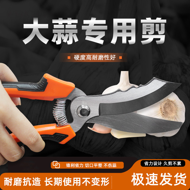 剪蒜神器大蒜切须剪杆机专用剪锰钢农用麦冬洋葱大葱剪须剪蒜器