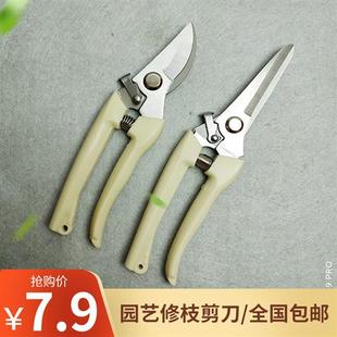 园艺剪刀修枝剪家用树枝剪刀园林剪刀果树摘果剪刀花卉用剪刀