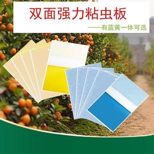 防虫板双面黄板蓝板物理杀虫家庭阳台室内蚜虫粉虱蝇蓟马粘虫诱虫