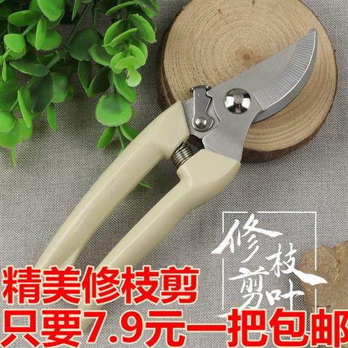 园林剪枝果树剪树枝花园花草剪刀修枝剪家用花枝剪刀园艺剪枝剪刀