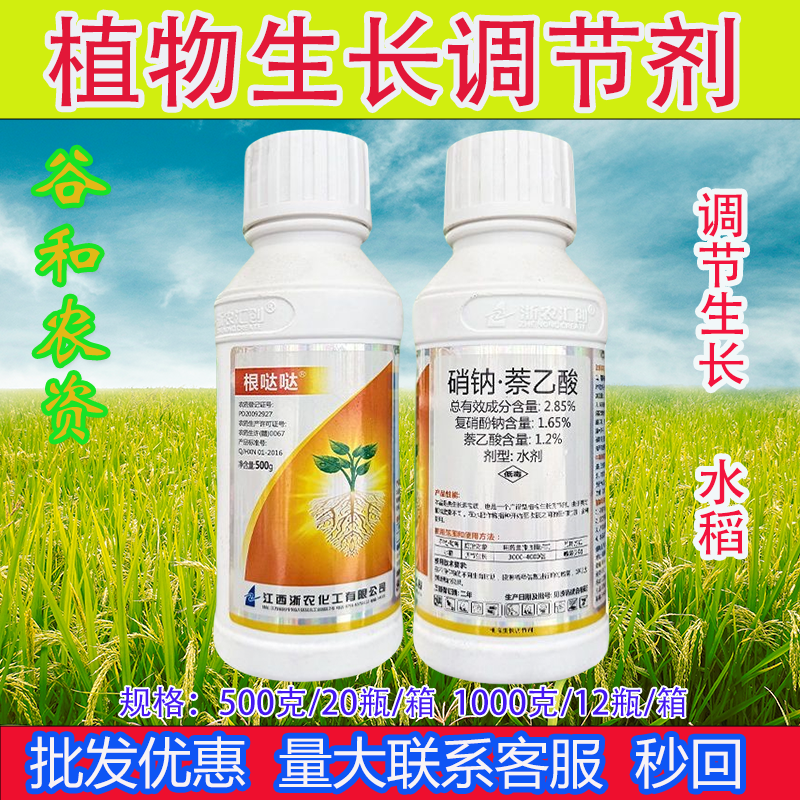 根哒哒 2.85%硝钠萘乙酸水稻调节生长复硝酚钠萘乙酸 生长调节剂