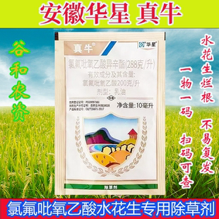 华星真牛氯氟吡氧乙酸异辛酯水花生净空心莲子草坪小麦玉米除草剂