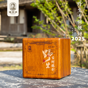 梅伯珍2025年野生古树银针250g正宗福鼎白茶白毫银针高山茶叶散茶