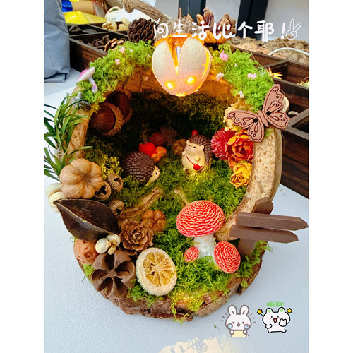 森系果壳DIY微景观小夜灯摆件