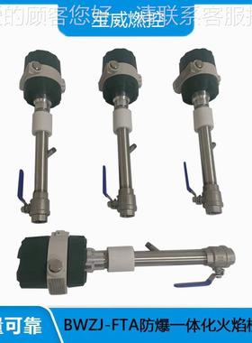 气烧炉检观察BWZJ-FTA火焰装置 一体化尾防爆火焰测器EXDII焚CT6