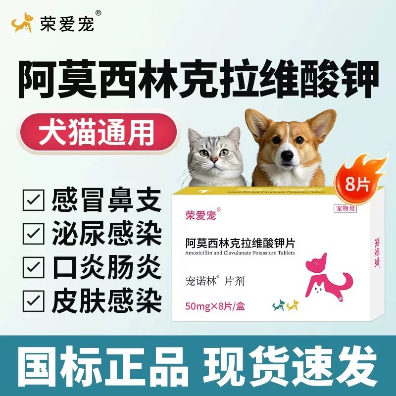 荣爱宠阿莫西林克拉维酸钾宠物图片