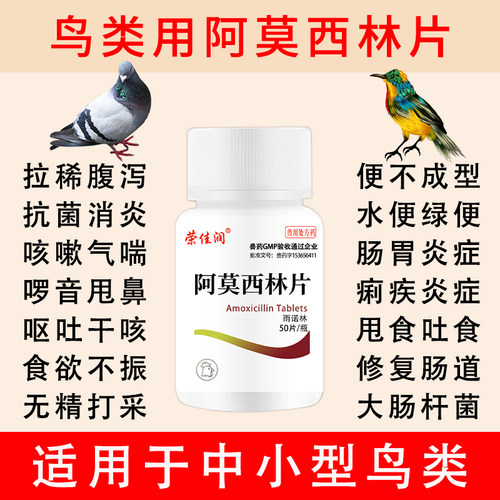 鸟用感冒消炎药肠胃炎顺丰包邮