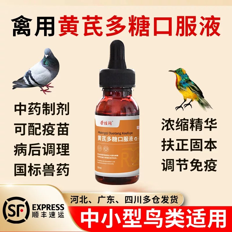 黄芪多糖鸟专用口服液顺丰包邮图片