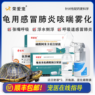 乌龟用雾化套餐感冒肺炎药草龟巴西龟张嘴呼吸急促浮水呼吸道感染